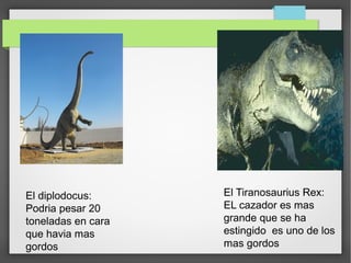 El diplodocus:
Podria pesar 20
toneladas en cara
que havia mas
gordos
El Tiranosaurius Rex:
EL cazador es mas
grande que se ha
estingido es uno de los
mas gordos
 