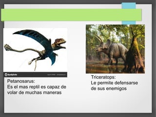 Petanosarus:
Es el mas reptil es capaz de
volar de muchas maneras
Triceratops:
Le permite defensarse
de sus enemigos
 