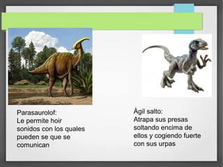 Parasaurolof:
Le permite hoir
sonidos con los quales
pueden se que se
comunican
Àgil salto:
Atrapa sus presas
soltando encima de
ellos y cogiendo fuerte
con sus urpas
 