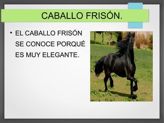 CABALLO FRISÓN.

EL CABALLO FRISÓN
SE CONOCE PORQUÉ
ES MUY ELEGANTE.
 