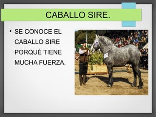 CABALLO SIRE.

SE CONOCE EL
CABALLO SIRE
PORQUÉ TIENE
MUCHA FUERZA.
 