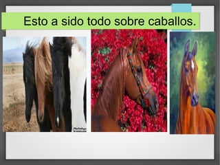 Esto a sido todo sobre caballos.
 