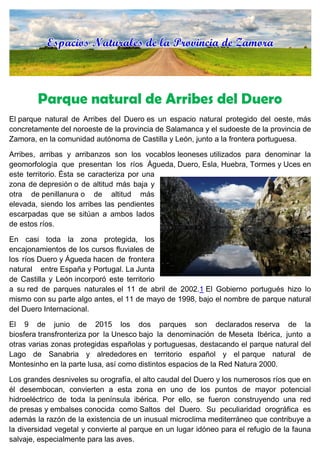 Parque natural de Arribes del Duero
El parque natural de Arribes del Duero es un espacio natural protegido del oeste, más
concretamente del noroeste de la provincia de Salamanca y el sudoeste de la provincia de
Zamora, en la comunidad autónoma de Castilla y León, junto a la frontera portuguesa.
Arribes, arribas y arribanzos son los vocablos leoneses utilizados para denominar la
geomorfología que presentan los ríos Águeda, Duero, Esla, Huebra, Tormes y Uces en
este territorio. Ésta se caracteriza por una
zona de depresión o de altitud más baja y
otra de penillanura o de altitud más
elevada, siendo los arribes las pendientes
escarpadas que se sitúan a ambos lados
de estos ríos.
En casi toda la zona protegida, los
encajonamientos de los cursos fluviales de
los ríos Duero y Águeda hacen de frontera
natural entre España y Portugal. La Junta
de Castilla y León incorporó este territorio
a su red de parques naturales el 11 de abril de 2002.1 El Gobierno portugués hizo lo
mismo con su parte algo antes, el 11 de mayo de 1998, bajo el nombre de parque natural
del Duero Internacional.
El 9 de junio de 2015 los dos parques son declarados reserva de la
biosfera transfronteriza por la Unesco bajo la denominación de Meseta Ibérica, junto a
otras varias zonas protegidas españolas y portuguesas, destacando el parque natural del
Lago de Sanabria y alrededores en territorio español y el parque natural de
Montesinho en la parte lusa, así como distintos espacios de la Red Natura 2000.
Los grandes desniveles su orografía, el alto caudal del Duero y los numerosos ríos que en
él desembocan, convierten a esta zona en uno de los puntos de mayor potencial
hidroeléctrico de toda la península ibérica. Por ello, se fueron construyendo una red
de presas y embalses conocida como Saltos del Duero. Su peculiaridad orográfica es
además la razón de la existencia de un inusual microclima mediterráneo que contribuye a
la diversidad vegetal y convierte al parque en un lugar idóneo para el refugio de la fauna
salvaje, especialmente para las aves.
 