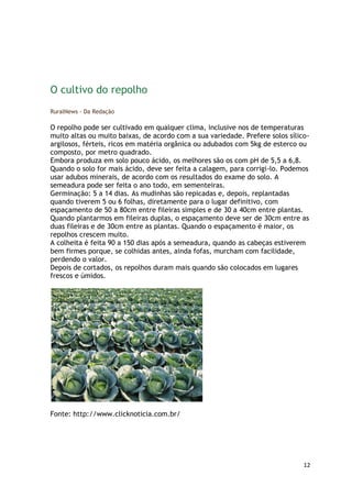 O cultivo do repolho
RuralNews - Da Redação

O repolho pode ser cultivado em qualquer clima, inclusive nos de temperaturas
muito altas ou muito baixas, de acordo com a sua variedade. Prefere solos sílico-
argilosos, férteis, ricos em matéria orgânica ou adubados com 5kg de esterco ou
composto, por metro quadrado.
Embora produza em solo pouco ácido, os melhores são os com pH de 5,5 a 6,8.
Quando o solo for mais ácido, deve ser feita a calagem, para corrigi-lo. Podemos
usar adubos minerais, de acordo com os resultados do exame do solo. A
semeadura pode ser feita o ano todo, em sementeiras.
Germinação: 5 a 14 dias. As mudinhas são repicadas e, depois, replantadas
quando tiverem 5 ou 6 folhas, diretamente para o lugar definitivo, com
espaçamento de 50 a 80cm entre fileiras simples e de 30 a 40cm entre plantas.
Quando plantarmos em fileiras duplas, o espaçamento deve ser de 30cm entre as
duas fileiras e de 30cm entre as plantas. Quando o espaçamento é maior, os
repolhos crescem muito.
A colheita é feita 90 a 150 dias após a semeadura, quando as cabeças estiverem
bem firmes porque, se colhidas antes, ainda fofas, murcham com facilidade,
perdendo o valor.
Depois de cortados, os repolhos duram mais quando são colocados em lugares
frescos e úmidos.




Fonte: http://www.clicknoticia.com.br/




                                                                               12
 