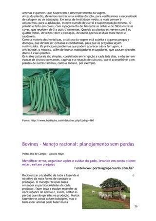 amenas e quentes, que favorecem o desenvolvimento da vagem.
Antes do plantio, devemos realizar uma análise do solo, para verificarmos a necessidade
de calagem ou de adubação. Em solos de fertilidade média, o mais comum é
utilizarmos, para a adubação, esterco curtido de curral e suplementação mineral. O
plantio é feito em covas, com espaçamento de 1m entre as linhas e de 50cm entre as
covas, que recebem de 3 a quatro sementes. Quando as plantas estiverem com 3 ou
quatro folhas, devemos fazer a raleação, deixando apenas as duas mais fortes e
saudáveis.
Como a maioria das hortaliças, a cultura da vagem está sujeita a algumas pragas e
doenças, que devem ser evitadas e combatidas, para que os prejuízos sejam
minimizados. Os principais problemas que podem aparecer são a ferrugem, a
antracnose, o mosaico, além de insetos mastigadores e sugadores, que causam grandes
danos à essas plantas.
Os tratos culturais são simples, consistindo em irrigação a cada três dias, a não ser em
épocas de chuvas constantes, capinas e a rotação de culturas, que é aconselhável com
plantas de outras famílias, como o tomate, por exemplo.




Fonte: http://www.hortisulrs.com/detalhes.php?codigo=160




Bovinos - Manejo racional: planejamento sem perdas
Portal Dia de Campo - Juliana Royo

Identificar erros, organizar ações e cuidar do gado, levando em conta o bem-
estar, evitam prejuízo
                                    Fonte/www.portalagropecuario.com.br/

Racionalizar o trabalho de toda a fazenda é                                         o
objetivo da nova forma de conduzir a
produção. O manejo racional busca
entender as particularidades de cada
produtor, fazer toda a equipe entender as
necessidades do animal e, assim, cortar as
perdas que são geradas na produção. Muitos
fazendeiros ainda acham bobagem, mas o
bem-estar animal pode fazer muita
                                                                                        26
 