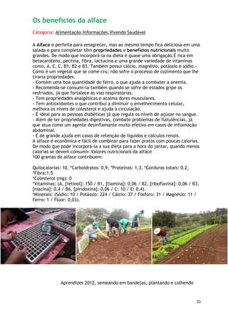 Os benefícios da alface
Categoria: Alimentação,Informações,Vivendo Saudável

A Alface é perfeita para emagrecer, mas ao mesmo tempo fica deliciosa em uma
salada e para completar têm propriedades e benefícios nutricionais muito
grandes. De modo que incorporá-la na dieta é quase uma obrigação.É rica em
betacaroteno, pectina, fibra, lactucina e uma grande variedade de vitaminas
como, A, E, C, B1, B2 e B3. Também possui cálcio, magnésio, potássio e sódio.-
Como é um vegetal que se come cru, não sofre o processo de cozimento que lhe
tiraria propriedades.
- Contém uma boa quantidade de ferro, o que ajuda a combater a anemia.
- Recomenda-se consumi-la também quando se sofre de estados gripe os
resfriados, já que fortalece as vias respiratórias.
- Tem propriedades analgésicas e acalma dores musculares.
- Tem antioxidantes o que contribui a diminuir o envelhecimento celular,
melhora os níveis de colesterol e ajuda à circulação.
- É ideal para as pessoas diabéticas já que regula os níveis de açúcar no sangue.
- Além de ter propriedades digestivas, combate problemas de flatulências, já
que atua como um agente desinflamante muito efetivo em casos de inflamação
abdominal.
- É de grande ajuda em casos de retenção de líquidos e cálculos renais.
A alface é econômica e fácil de combinar para fazer pratos com poucas calorias.
De modo que pode incorporá-la a sua dieta para a hora do jantar, quando menos
calorias se devem consumir.Valores nutricionais da alface
100 gramas de alface contribuem:

Quilocalorias: 10, *Carboidratos: 0,9, *Proteínas: 1,3, *Gorduras totais: 0,2,
*Fibra:1,5
*Colesterol (mg): 0
*Vitaminas: (A, [retinol]: 150 / B1, [tiamina]: 0,06 / B2, [riboflavina]: 0,06 / B3,
[niacina]: 0,4 / B6, [piridoxina]: 0,06 / C: 10 / E: 0,4).
*Minerais: (Sódio: 10 / Potássio: 224 / Cálcio: 37 / Fósforo: 31 / Magnésio: 11 /
Ferro: 1 / Flúor: 0,03).




              Aprendizes 2012, semeando em bandejas, plantando e colhendo



                                                                                  31
 