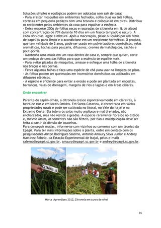 Soluções simples e ecológicas podem ser adotadas sem sair de casa:
- Para afastar mosquitos em ambientes fechados, colha duas ou três folhas,
corte-as em pequenos pedaços com uma tesoura e coloque-os em pires. Distribua
os recipientes pelos ambientes da casa para espalhar a essência.
- Deixe macerar 200g de folhas secas e rasuradas de citronela em 1L de álcool
com concentração de 70% durante 10 dias em um frasco tampado e escuro. A
cada dois dias, agite a mistura. Após a maceração, passe o líquido por um filtro
de papel ou pano limpo e o acondicione em um recipiente hermético. O produto,
que tem validade de 2 anos, pode ser usado em pulverizadores domésticos, velas
aromáticas, tochas para pescaria, difusores, cremes dermatológicos, sachês e
pout-porris.
- Mantenha uma muda em um vaso dentro de casa e, sempre que quiser, corte
um pedaço de uma das folhas para que a essência se espalhe mais.
- Para evitar picadas de mosquitos, amasse e esfregue uma folha de citronela
nos braços e nas pernas.
- Ferva algumas folhas e faça uma espécie de chá para usar na limpeza de pisos.
- As folhas podem ser queimadas em incensórios domésticos ou utilizadas em
difusores elétricos.
- A espécie é eficiente para evitar a erosão e pode ser plantada em encostas,
barrancos, valas de drenagem, margens de rios e lagoas e em áreas ciliares.

Onde encontrar

Parente do capim-limão, a citronela cresce espontaneamente em clareiras, à
beira de rios e em locais úmidos. Em Santa Catarina, é encontrada em várias
propriedades rurais e pode ser cultivada no litoral, no Vale do Itajaí e no
Extremo Oeste. Ela tolera os solos muito argilosos e mal drenados, não
encharcados, mas não resiste a geadas. A espécie raramente floresce no Estado
e, mesmo assim, as sementes não são férteis, por isso a multiplicação deve ser
feita a partir da divisão de touceiras.
Para conseguir mudas, informe-se com vizinhos ou converse com um técnico da
Epagri. Para ter mais informações sobre a planta, entre em contato com os
pesquisadores Airton Rodrigues Salerno, Antonio Amaury Silva Junior e Andrey
Martinez Rebelo, da Estação Experimental de Itajaí, pelos e-mails
salerno@epagri.sc.gov.br, amaury@epagri.sc.gov.br e andrey@epagri.sc.gov.br.




              Horta Aprendizes 2012, Citronela em curva de nível



                                                                             35
 