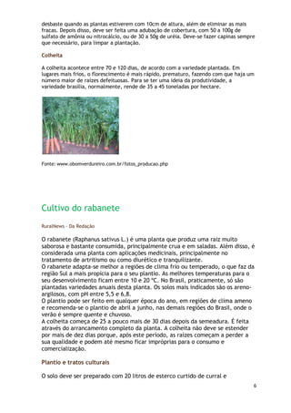 desbaste quando as plantas estiverem com 10cm de altura, além de eliminar as mais
fracas. Depois disso, deve ser feita uma adubação de cobertura, com 50 a 100g de
sulfato de amônia ou nitrocálcio, ou de 30 a 50g de uréia. Deve-se fazer capinas sempre
que necessário, para limpar a plantação.

Colheita

A colheita acontece entre 70 e 120 dias, de acordo com a variedade plantada. Em
lugares mais frios, o florescimento é mais rápido, prematuro, fazendo com que haja um
número maior de raízes defeituosas. Para se ter uma ideia da produtividade, a
variedade brasília, normalmente, rende de 35 a 45 toneladas por hectare.




Fonte: www.obomverdureiro.com.br/fotos_producao.php




Cultivo do rabanete
RuralNews - Da Redação

O rabanete (Raphanus sativus L.) é uma planta que produz uma raiz muito
saborosa e bastante consumida, principalmente crua e em saladas. Além disso, é
considerada uma planta com aplicações medicinais, principalmente no
tratamento de artritismo ou como diurético e tranquilizante.
O rabanete adapta-se melhor a regiões de clima frio ou temperado, o que faz da
região Sul a mais propícia para o seu plantio. As melhores temperaturas para o
seu desenvolvimento ficam entre 10 e 20 ºC. No Brasil, praticamente, só são
plantadas variedades anuais desta planta. Os solos mais indicados são os areno-
argilosos, com pH entre 5,5 e 6,8.
O plantio pode ser feito em qualquer época do ano, em regiões de clima ameno
e recomenda-se o plantio de abril a junho, nas demais regiões do Brasil, onde o
verão é sempre quente e chuvoso.
A colheita começa de 25 a pouco mais de 30 dias depois da semeadura. É feita
através do arrancamento completo da planta. A colheita não deve se estender
por mais de dez dias porque, após este período, as raízes começam a perder a
sua qualidade e podem até mesmo ficar impróprias para o consumo e
comercialização.

Plantio e tratos culturais

O solo deve ser preparado com 20 litros de esterco curtido de curral e
                                                                                      6
 