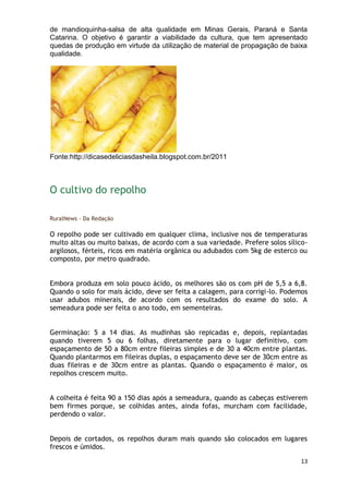 de mandioquinha-salsa de alta qualidade em Minas Gerais, Paraná e Santa
Catarina. O objetivo é garantir a viabilidade da cultura, que tem apresentado
quedas de produção em virtude da utilização de material de propagação de baixa
qualidade.




Fonte:http://dicasedeliciasdasheila.blogspot.com.br/2011



O cultivo do repolho

RuralNews - Da Redação

O repolho pode ser cultivado em qualquer clima, inclusive nos de temperaturas
muito altas ou muito baixas, de acordo com a sua variedade. Prefere solos sílico-
argilosos, férteis, ricos em matéria orgânica ou adubados com 5kg de esterco ou
composto, por metro quadrado.


Embora produza em solo pouco ácido, os melhores são os com pH de 5,5 a 6,8.
Quando o solo for mais ácido, deve ser feita a calagem, para corrigi-lo. Podemos
usar adubos minerais, de acordo com os resultados do exame do solo. A
semeadura pode ser feita o ano todo, em sementeiras.


Germinação: 5 a 14 dias. As mudinhas são repicadas e, depois, replantadas
quando tiverem 5 ou 6 folhas, diretamente para o lugar definitivo, com
espaçamento de 50 a 80cm entre fileiras simples e de 30 a 40cm entre plantas.
Quando plantarmos em fileiras duplas, o espaçamento deve ser de 30cm entre as
duas fileiras e de 30cm entre as plantas. Quando o espaçamento é maior, os
repolhos crescem muito.


A colheita é feita 90 a 150 dias após a semeadura, quando as cabeças estiverem
bem firmes porque, se colhidas antes, ainda fofas, murcham com facilidade,
perdendo o valor.


Depois de cortados, os repolhos duram mais quando são colocados em lugares
frescos e úmidos.

                                                                              13
 