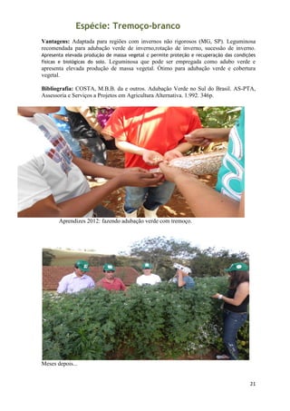 Espécie: Tremoço-branco
Vantagens: Adaptada para regiões com invernos não rigorosos (MG, SP). Leguminosa
recomendada para adubação verde de inverno,rotação de inverno, sucessão de inverno.
Apresenta elevada produção de massa vegetal e permite proteção e recuperação das condições
físicas e biológicas do solo. Leguminosa que pode ser empregada como adubo verde e
apresenta elevada produção de massa vegetal. Ótimo para adubação verde e cobertura
vegetal.

Bibliografia: COSTA, M.B.B. da e outros. Adubação Verde no Sul do Brasil. AS-PTA,
Assessoria e Serviços a Projetos em Agricultura Alternativa. 1.992. 346p.




       Aprendizes 2012: fazendo adubação verde com tremoço.




Meses depois...


                                                                                       21
 