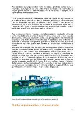 Para combater os fungos existem vários métodos e produtos, dentre eles, os
fungicidas. Os fungicidas são uma saída simples e prática para o combate aos
fungos, porém devem ser administrados com muita cautela e sempre sob a
supervisão de técnicos capacitados.


Outro grave problema que causa grandes "dores de cabeça" aos agricultores são
as chamadas ervas daninhas ou plantas invasoras. As invasoras são plantas que
crescem no meio da plantação, são plantas fortes e resistentes que "roubam" os
nutrientes da terra que deveriam ser utilizados e consumidos pelas plantas
cultivadas. Além disso, essas plantas são um abrigo natural para insetos, fungos,
bactérias e uma série de organismos nocivos à lavoura.


Para combater as plantas invasoras, o método mais rústico e natural é a limpeza
ou "capina" do terreno, arrancando-se as invasoras, uma a uma ou com o auxílio
de máquinas, utilizadas em grandes plantações, principalmente no momento do
preparo do solo. Outra forma muito utilizada de combate a este problema é o
herbicida. O herbicida é um produto químico que mata as invasoras através de
pulverizações regulares, que visam o controle e a erradicação completa dessas
plantas.
Apesar de ser muito prático e eficiente, por ser um produto químico, o herbicida
deve ser aplicado somente quando necessário e sob a orientação de técnicos
especializados, para que não haja nenhum perigo de contaminação da lavoura.
Os herbicidas apresentam, também, a vantagem de reduzir a quantidade de
mão-de-obra e de fazer com que os tratos culturais sejam feitos de maneira mais
rápida e eficiente. Existem vários tipos de herbicidas mas, basicamente eles se
dividem em seletivos, que são feitos para controlar apenas alguns tipos de
plantas invasoras e os não seletivos, que destroem qualquer tipo de vegetação.
Os herbicidas e os fungicidas são defensivos agrícolas e, por esse motivo, devem
ser manuseados e armazenados com extremo cuidado e responsabilidade, para
que não aconteçam contaminações da produção e de pessoas.




Fonte: http://www.portaldoagronegocio.com.br/conteudo.php?id=66319



Quiabo: aprenda cultivar e eliminar a baba
                                                                              23
 