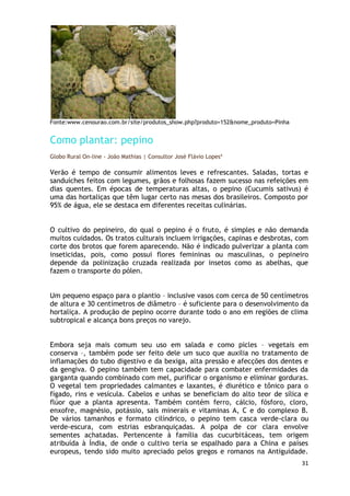 Fonte:www.cenourao.com.br/site/produtos_show.php?produto=152&nome_produto=Pinha


Como plantar: pepino
Globo Rural On-line - João Mathias | Consultor José Flávio Lopes*

Verão é tempo de consumir alimentos leves e refrescantes. Saladas, tortas e
sanduíches feitos com legumes, grãos e folhosas fazem sucesso nas refeições em
dias quentes. Em épocas de temperaturas altas, o pepino (Cucumis sativus) é
uma das hortaliças que têm lugar certo nas mesas dos brasileiros. Composto por
95% de água, ele se destaca em diferentes receitas culinárias.


O cultivo do pepineiro, do qual o pepino é o fruto, é simples e não demanda
muitos cuidados. Os tratos culturais incluem irrigações, capinas e desbrotas, com
corte dos brotos que forem aparecendo. Não é indicado pulverizar a planta com
inseticidas, pois, como possui flores femininas ou masculinas, o pepineiro
depende da polinização cruzada realizada por insetos como as abelhas, que
fazem o transporte do pólen.


Um pequeno espaço para o plantio – inclusive vasos com cerca de 50 centímetros
de altura e 30 centímetros de diâmetro – é suficiente para o desenvolvimento da
hortaliça. A produção de pepino ocorre durante todo o ano em regiões de clima
subtropical e alcança bons preços no varejo.


Embora seja mais comum seu uso em salada e como picles – vegetais em
conserva –, também pode ser feito dele um suco que auxilia no tratamento de
inflamações do tubo digestivo e da bexiga, alta pressão e afecções dos dentes e
da gengiva. O pepino também tem capacidade para combater enfermidades da
garganta quando combinado com mel, purificar o organismo e eliminar gorduras.
O vegetal tem propriedades calmantes e laxantes, é diurético e tônico para o
fígado, rins e vesícula. Cabelos e unhas se beneficiam do alto teor de sílica e
flúor que a planta apresenta. Também contém ferro, cálcio, fósforo, cloro,
enxofre, magnésio, potássio, sais minerais e vitaminas A, C e do complexo B.
De vários tamanhos e formato cilíndrico, o pepino tem casca verde-clara ou
verde-escura, com estrias esbranquiçadas. A polpa de cor clara envolve
sementes achatadas. Pertencente à família das cucurbitáceas, tem origem
atribuída à Índia, de onde o cultivo teria se espalhado para a China e países
europeus, tendo sido muito apreciado pelos gregos e romanos na Antiguidade.
                                                                                  31
 