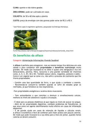 CLIMA: quente e não tolera geadas

ÁREA MÍNIMA: pode ser cultivado em vasos

COLHEITA: de 50 a 60 dias após o plantio

CUSTO: preço do envelope com dez gramas pode variar de R$ 2 a R$ 5


*José Flávio Lopes é engenheiro agrônomo, pesquisador da Embrapa Hortaliças.




Fonte:http://www.cnph.embrapa.br/paginas/imprensa/releases/semiarido_show.html


Os benefícios da alface
Categoria: Alimentação,Informações,Vivendo Saudável

A Alface é perfeita para emagrecer, mas ao mesmo tempo fica deliciosa em uma
salada e para completar têm propriedades e benefícios nutricionais muito
grandes. De modo que incorporá-la na dieta é quase uma obrigação.É rica em
betacaroteno, pectina, fibra, lactucina e uma grande variedade de vitaminas
como, A, E, C, B1, B2 e B3. Também possui cálcio, magnésio, potássio e sódio.-
Como é um vegetal que se come cru, não sofre o processo de cozimento que lhe
tiraria propriedades.

- Contém uma boa quantidade de ferro, o que ajuda a combater a anemia.
- Recomenda-se consumi-la também quando se sofre de estados gripe os
resfriados, já que fortalece as vias respiratórias.

-Tem propriedades analgésicas e acalma dores musculares.

- Tem antioxidantes o que contribui a diminuir o envelhecimento celular,
melhora os níveis de colesterol e ajuda à circulação.

- É ideal para as pessoas diabéticas já que regula os níveis de açúcar no sangue.
- Além de ter propriedades digestivas, combate problemas de flatulências, já
que atua como um agente desinflamante muito efetivo em casos de inflamação
abdominal.
- É de grande ajuda em casos de retenção de líquidos e cálculos renais.
A alface é econômica e fácil de combinar para fazer pratos com poucas calorias.
De modo que pode incorporá-la a sua dieta para a hora do jantar, quando menos
calorias se devem consumir.

                                                                                 33
 