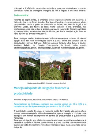 - A espécie é eficiente para evitar a erosão e pode ser plantada em encostas,
barrancos, valas de drenagem, margens de rios e lagoas e em áreas ciliares.

Onde encontrar

Parente do capim-limão, a citronela cresce espontaneamente em clareiras, à
beira de rios e em locais úmidos. Em Santa Catarina, é encontrada em várias
propriedades rurais e pode ser cultivada no litoral, no Vale do Itajaí e no
Extremo Oeste. Ela tolera os solos muito argilosos e mal drenados, não
encharcados, mas não resiste a geadas. A espécie raramente floresce no Estado
e, mesmo assim, as sementes não são férteis, por isso a multiplicação deve ser
feita a partir da divisão de touceiras.

Para conseguir mudas, informe-se com vizinhos ou converse com um técnico da
Epagri. Para ter mais informações sobre a planta, entre em contato com os
pesquisadores Airton Rodrigues Salerno, Antonio Amaury Silva Junior e Andrey
Martinez Rebelo, da Estação Experimental de Itajaí, pelos e-mails
salerno@epagri.sc.gov.br, amaury@epagri.sc.gov.br e andrey@epagri.sc.gov.br.




                 Horta Aprendizes 2012, Citronela em curva de nível

Manejo adequado da irrigação favorece a
produtividade
Ministério da Agricultura, Pecuária e Abastecimento (Mapa) - Da Redação

Pesquisadores da Embrapa explicam que ganhos variam de 10 a 30% e a
redução do uso de água e energia gira em torno de 20 a 30%.

A quantidade correta de água e o momento exato da irrigação são pontos-chave
em um manejo adequado. Além de economizar água e energia, o controle pode
assegurar um melhor desempenho em termos de produtividade e qualidade das
hortaliças.
Para que a irrigação seja eficiente e resulte em impactos positivos na lavoura, é
necessário considerar fatores como o clima e o solo. Os dois são determinantes
quando se trata de escolher o método de manejo de água mais apropriado para a
irrigação.
                                                                              38
 