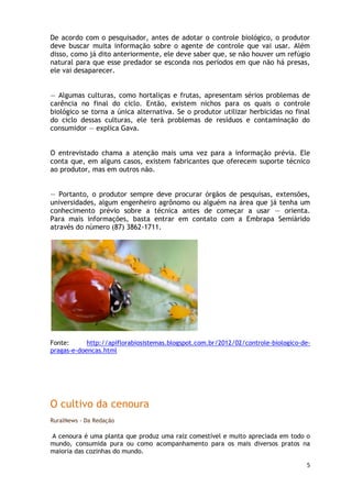 De acordo com o pesquisador, antes de adotar o controle biológico, o produtor
deve buscar muita informação sobre o agente de controle que vai usar. Além
disso, como já dito anteriormente, ele deve saber que, se não houver um refúgio
natural para que esse predador se esconda nos períodos em que não há presas,
ele vai desaparecer.


— Algumas culturas, como hortaliças e frutas, apresentam sérios problemas de
carência no final do ciclo. Então, existem nichos para os quais o controle
biológico se torna a única alternativa. Se o produtor utilizar herbicidas no final
do ciclo dessas culturas, ele terá problemas de resíduos e contaminação do
consumidor — explica Gava.


O entrevistado chama a atenção mais uma vez para a informação prévia. Ele
conta que, em alguns casos, existem fabricantes que oferecem suporte técnico
ao produtor, mas em outros não.


— Portanto, o produtor sempre deve procurar órgãos de pesquisas, extensões,
universidades, algum engenheiro agrônomo ou alguém na área que já tenha um
conhecimento prévio sobre a técnica antes de começar a usar — orienta.
Para mais informações, basta entrar em contato com a Embrapa Semiárido
através do número (87) 3862-1711.




Fonte:      http://apiflorabiosistemas.blogspot.com.br/2012/02/controle-biologico-de-
pragas-e-doencas.html




O cultivo da cenoura
RuralNews - Da Redação

A cenoura é uma planta que produz uma raiz comestível e muito apreciada em todo o
mundo, consumida pura ou como acompanhamento para os mais diversos pratos na
maioria das cozinhas do mundo.

                                                                                   5
 