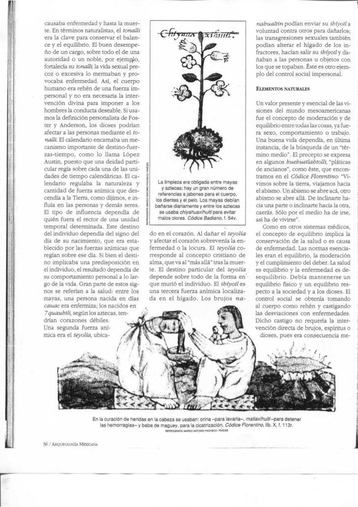 Revista Arqueologia Mexicana Vol Xiii No 74 05