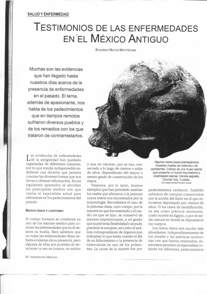 Revista Arqueologia Mexicana Vol Xiii No 74 05