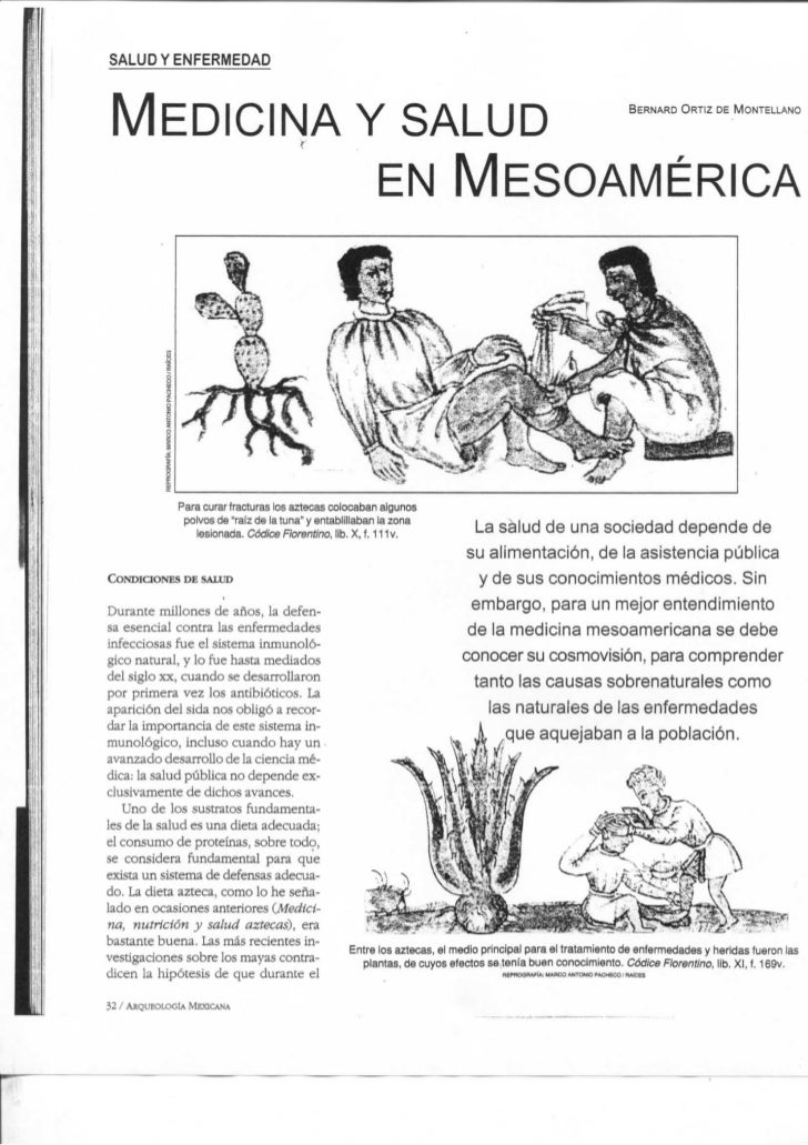 Revista Arqueologia Mexicana Vol Xiii No 74 05