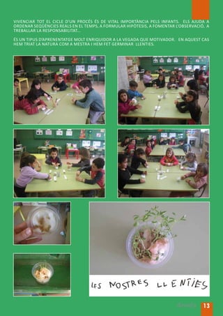 Vivenciar tot el cicle d’un procés és de vital importància pels infants.   Els ajuda a
ordenar seqüències reals en el temps, a formular hipòtesiS, a fomentar l’observació,  a
treballar la responsabilitat...

És un tipus d’aprenentatge molt enriquidor a la vegada que motivador.   En aqueSt cas
hem triat la natura com a mestra i hem fet germinar  llenties.




                                                                        Arrels 13
 