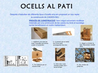 OCELLS AL PATI Després d’estudiar els diferents tipus d’ocells ens em proposat un nou repte:  la construcció de CAIXES-NIU. PROCÉS DE CONSTRUCCIÓ : hem cregut convenient reutilitzar materials per a la construcció de les caixes-niu Amb el reciclatge també beneficiarem el nostre mediambient. 1.- Agafarem una caixa de fusta, d’aquelles que anirian a parar al contenidor. 2.- La serrem per la meitat. Així d’una caixa aconseguirem dos nius. 3.- Afegim un frontal i la tapa. Necessitem martell i claus. 4.- Fer l’obertura per on entrarà l’ocell 5.- Amb roba i unes xinxetes podem obrir i tancar la tapa. 6.- Ara, només cal penjar-les. 