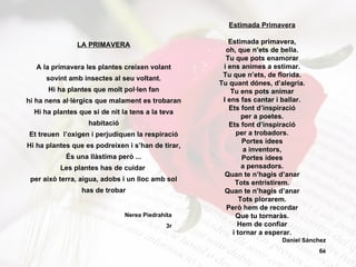 LA PRIMAVERA A la primavera les plantes creixen volant sovint amb insectes al seu voltant. Hi ha plantes que molt pol·len fan hi ha nens al·lèrgics que malament es trobaran Hi ha plantes que si de nit la tens a la teva habitació Et treuen  l’oxigen i perjudiquen la respiració Hi ha plantes que es podreixen i s’han de tirar, És una llàstima però ... Les plantes has de cuidar  per això terra, aigua, adobs i un lloc amb sol has de trobar Estimada Primavera Estimada primavera, oh, que n’ets de bella. Tu que pots enamorar i ens animes a estimar. Tu que n’ets, de florida. Tu quant dónes, d’alegria. Tu ens pots animar I ens fas cantar i ballar. Ets font d’inspiració per a poetes. Ets font d’inspiració per a trobadors. Portes idees a inventors, Portes idees a pensadors. Quan te n’hagis d’anar Tots entristirem. Quan te n’hagis d’anar Tots plorarem. Però hem de recordar Que tu tornaràs. Hem de confiar i tornar a esperar. Nerea Piedrahita 3r Daniel Sánchez 6è 