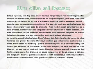 Estava reposant, com faig cada dia de la meva llarga vida; el vent m’esbufegava i feia tremolar les meves fulles, semblava que se les volgués emportar, però elles s’aferraven amb força a mi; la llum del sol que m’arribava m’omplia de vitalitat; estava tan tranquil ... com els meus companys que m’escoltaven, fins que vaig sentir que venien les fades del bosc: elles sempre venien cada dia al migdia i feien molt de soroll per avisar-nos de la seva arribada, semblava que ens volguessin dir que aturessim el nostre descans. Així, elles podien tenir cura de nosaltres, amb les seves mans delicades netejaven les nostres fulles i ens llençaven una pols que ens feia sentir molt bé i ens alimentava. Jo coneixia gairebé totes les fades. Una d’elles es deia Ariel, i era la més bonica de totes. Tenia les ales grans i de colors diferents, i una llum que enlluernava a qualsevol que la mirés. El seu cabell era molt llarg i quasi li arribava als peus, era d’un color castany clar, la seva pell semblava de porcellana i era de color canyella, els seus ulls eren de color blau cel i els seu cos era molt petit i prim. Una altra fada que era molt graciosa es deia Ruth; sempre parava fent bromes a les seves companyes. Un dia va amagar la pols que ens llençaven i després, quan la necesitaven, la Ruth no recordava on l’havia posada i va haver d’anar a buscar-ne més; total, que la seva broma li va sortir a l’inrevés. Un dia al bosc 