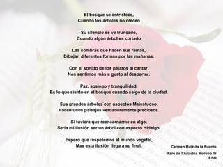 El bosque se entristece, Cuando los árboles no crecen Su silencio se ve truncado, Cuando algún árbol es cortado Las sombras que hacen sus ramas, Dibujan diferentes formas por las mañanas. Con el sonido de los pájaros al cantar, Nos sentimos más a gusto al despertar. Paz, sosiego y tranquilidad, Es lo que siento en el bosque cuando salgo de la ciudad. Sus grandes árboles con aspectos Majestuoso, Hacen unos paisajes verdaderamente preciosos. Si tuviera que reencarnarme en algo, Sería mi ilusión ser un árbol con aspecto Hidalgo. Espero que respetemos el mundo vegetal, Mas esta ilusión llega a su final. Carmen Ruiz de la Fuente Mare de l’Ariadna Moreno 1r ESO 