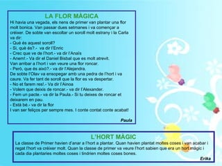 LA FLOR MÀGICA Hi havia una vegada, els nens de primer van plantar una flor molt bonica. Van passar dues setmanes i va començar a créixer. De sobte van escoltar un soroll molt estrany i la Carla va dir: - Què és aquest soroll? - Si, què és?.-  va dir l’Enric - Crec que ve de l’hort.- va dir l’Anaïs - Anem!.- Va dir el Daniel Bisbal que es molt atrevit. Van arribar a l’hort i van veure una flor roncar. - Però, que és això?.- va dir l’Alejandra. De sobte l’Olav va ensopegar amb una pedra de l’hort i va caure. Va fer tant de soroll que la flor es va despertar. - No et farem res!.- Va dir l’Ainoa - Volem que deixis de roncar.- va dir l’Alexander. - Fem un pacte.- va dir la Paula.- Si tu deixes de roncar et deixarem en pau. - Està bé.- va dir la flor I van ser feliços per sempre mes. I conte contat conte acabat! Paula   L’HORT MÀGIC La classe de Primer havien d’anar a l’hort a plantar. Quan havien plantat moltes coses i van acabar i regat l’hort va créixer molt. Quan la classe de primer va veure l’hort sabien que era un hort màgic i cada dia plantaries moltes coses i tindrien moltes coses bones.  Erika   
