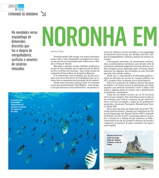 Agência O Globo
Noronha mudou. Bar lounge com música eletrônica
avança sobre o mar, bloqueando a passagem de visitan-
tes que um dia se aventuraram pelas trilhas entre o Bol-
dró e a Praia do Sancho.
Mocinhas e garotões sarados desfilam indiferentes
ao mar de tons azulados, que se agita aos pés do Morro
do Pico, na Praia da Conceição - uma versão insular da
catarinense Praia do Rosa ou da paulista Maresias.
E as tradicionais casas de família, que um dia servi-
ram como única alternativa de hospedagem para os tu-
ristas, hoje se espremem entre pousadas de alto padrão.
Ainda assim, Noronha continua linda. E os mesmos
ventos que transformaram a Ilha Maldita - título da épo-
ca em que funcionou como penitenciária - em paraíso tu-
rístico do Atlântico trazem novidades a esse arquipélago
de dimensões discretas que, por décadas, tem feito a ale-
gria de mergulhadores, surfistas e amantes de cenários in-
tocados.
Gastronomia molecular em restaurantes moderni-
nhos, estabelecimentos hoteleiros com elevado nível de
consciência ambiental, aluguel de bicicletas elétricas e tri-
lhas selvagens pouco exploradas pelos visitantes menos
dispostos são algumas das novidades de uma Noronha
que nem todo mundo conhece.
Desde que a concessionária EcoNoronha ganhou o
edital de prestação de serviço de visitação pública, em
2011, atrações locais receberam novos investimentos.
Estão lá as passarelas de madeira sintética das praias
do Sancho e do Sueste, postos de informação que foram
erguidos com material sustentável (como o limpo steel
frame) e algumas praias já contam com a infraestrutura
de banheiros e lanchonetes.
Umas das novidades recentes são as 18 bicicletas
elétricas para aluguel. Elas desembarcaram na ilha no
ano passado, para reduzir a emissão de gás carbônico
desse território protegido e frágil de 26 quilômetros
quadrados, declarado Patrimônio Mundial pela Unes-
co, desde 2001.
Esta é uma das ações que fazem parte do projeto “No-
ronha Carbono-Neutro”, lançado na Conferência do Cli-
ma da Organização das Nações Unidas (ONU), realizado
na Polônia, em fins de 2013. O principal objetivo do pro-
jeto é incentivar a redução de gás carbônico na ilha e
transformá-la em um dos primeiros destinos do mundo a
compensar as emissões de gases causadores do aqueci-
mento global.
Há novidades nesse
arquipélago de
dimensões
discretas que
faz a alegria de
mergulhadores,
surfistas e amantes
de cenários
intocados
Piscina natural no
início da longa
trilha do Atalaia.
À frente, a Ilha do
Frade
FERNANDO DE NORONHA t
NORONHA EM
Cardumes são
facilmente
observáveis em
qualquer mergulho
nas águas de
Noronha
Domingo, 22 de
fevereiro de 2015
30
 