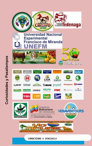 CONOCIENDO A VENEZUELA
CuriosidadesyPasatiempos
 