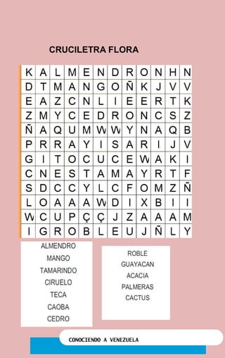 CONOCIENDO A VENEZUELA
CRUCILETRA FLORA
 