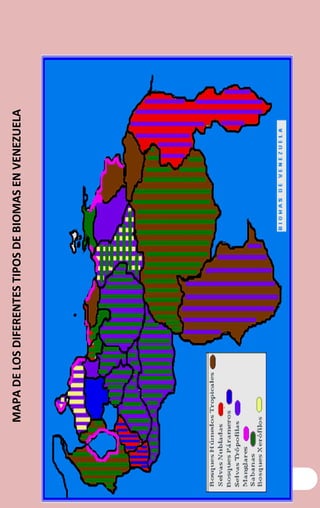 CONOCIENDO A VENEZUELA
MAPADELOSDIFERENTESTIPOSDEBIOMASENVENEZUELA
 