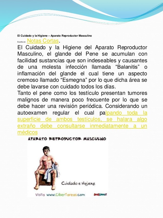 Revista Digitalizada aparato Reproductor Masculino y Femenino