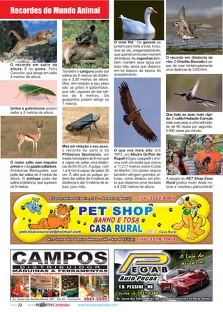 Página 22 Revista www.reportercapixaba.com
O recorde em salto de
altura: É do puma, Felis
Concolor, que atinge em salto
4 metros de altura.
Grilos e gafanhotos podem
saltar a 2 metros de altura.
O maior salto sem impulso
prévioéodagazelasaltadora,
Antidorcas Marsupialis, que
pode dar saltos de 3 metros de
altura. O antílope pode dar
saltos à distância: que superam
os 9 metros.
Mas em relação a seu peso,
o recorde de salto é do
Philaenus Spumarius, um
inseto homóptero de 6 mm que
é capaz de saltar uma distân-
cia de 60-70 cm. A pulga, com
1 a 4 mm é capaz de saltar 30
cm. É dito que as pulgas po-
dem dar saltos de 4 metros de
distância e até 3 metros de al-
tura, puro mito.
O que voa mais alto: Em
1973, um Abutre Griffon de
Rupell (Gyps rueppellii) cho-
cou com um avião que voava
a 11.277 metros sobre Costa
do Marfim. Os cisnes negros
também atingem grandes al-
turas, como atestou um pilo-
to que observou uma revoada
a 8.230 metros de altura.
O recorde em distância de
vôo:OChorlitoDouradoéca-
paz de voar ininterruptamente
uma distância de 3.000 Km.
Que bate as asas mais rápi-
do:OcolibriHeliactinCornuta
bate suas asas a uma velocida-
de de 90 vezes por segundo,
5.400 vezes por minuto.
Recordes do Mundo Animal
Também o canguru pode dar
saltos de 9 metros de distân-
cia e 3,30 metros de altura.
Mas, em relação a seu peso
são os grilos e gafanhotos,
que são capazes de dar sal-
tos de 6 metros. Os
guepardos podem atingir os
7 metros.
O mais fiel: Os gansos se
juntam para toda a vida. Inclu-
sive se diz, exageradamente,
que quando enviuvam morrem
de tristeza.As cegonhas tam-
bém mantêm seus laços por
toda vida, ainda que distanci-
em-se depois da época do
acasalamento.
A equipe do PET Shop Casa
Rural gostou muito desta co-
luna e resolveu patrociná-la!
R~ RTERCAPIXABA
 