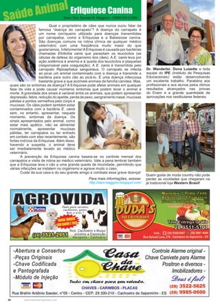 44 www.reportercapixaba.com
Qual o proprietário de cães que nunca ouviu falar da
famosa “doença do carrapato”? A doença do carrapato é
um nome corriqueiro utilizado para doenças transmitidas
por carrapatos, como a Erliquiose e a Babesiose canina.
São doenças comuns na rotina clínica de qualquer médico
veterinário com uma freqüência muito maior do que
gostaríamos. Infelizmente! A Erliquiose é causada por bactérias
chamadas Ehrlichia canis que parasitam os leucócitos (as
células de defesa do organismo dos cães). A E. canis leva por
ação sistêmica à anemia e à queda dos leucócitos e plaquetas
(responsável pela coagulação). A E. canis é transmitida pelo
carrapato Ripicephalus sanguineus. O carrapato se infecta
ao picar um animal contaminado com a doença e transmite a
bactéria para outro cão ao picá-lo. É uma doença infecciosa
bastante grave e que acomete animais da família canídea. Mas,
quais são os sintomas da doença? A Erliquiose pode afetar animais em qualquer
fase da vida e pode causar inúmeros sintomas que podem levar o animal à
morte. A gravidade dos sinais é variável entre os animais, que podem apresentar
depressão, febre, redução do apetite, perda de peso, sangramento nasal, mucosas
pálidas e pontos vermelhos pelo corpo e
mucosas. Os cães podem também estar
contaminados com a bactéria E. canis
sem, no entanto, apresentar, naquele
momento, sintomas da doença. Os
sinais apresentados pelo animal, como
estar mais apático, não se alimentar
normalmente, apresentar mucosas
pálidas, ter carrapatos ou ter entrado
em contato com eles recentemente, são
fortes indícios da Erliquiose. Além disso,
havendo a suspeita, o animal deve
ser imediatamente levado ao médico
veterinário.
A prevenção da Erliquiose canina baseia-se no controle mensal dos
carrapatos e visita de rotina ao médico veterinário. Vale a pena lembrar também
que a Erliquiose leva o cão a uma grande queda de imunidade, permitindo que
várias infecções se instalem no organismo e agrave muito o caso.
Cuide da sua casa e do seu grande amigo e combata essa grave doença!
Para mais informações, acesse:
http://dani-maggioni.blogspot.com/
Erliquiose Canina
Dr. Wanderlei, Dona Luizette e toda
equipe do IPE (Instituto de Pesquisas
Educacionais) estão desenvolvendo
um excelente trabalho. Parabéns aos
profissionais e aos alunos pelos ótimos
resultados alcançados nas provas
do Enem e a grande quantidade de
aprovações nos vestibulares federais.
Quem gosta de moda country não pode
perder as novidades que chegaram na
já tradicional loja Western Brasil!
Saúde Animal
Texto: Dra. Daniela M. Maggioni - CRMV-ES 01595
Controle Alarme original -
Chave Canivete para Alarme
Positron e diversos -
/mobilizadores -
sgea.1 é/fel'/
(28) 3522-5625
Rua Brahin Antônio Saeder, nº05 - Centro - CEP: 29 300-21 O- Cachoeiro de ltapemirim - ES (28) 9985-0600
CHAVES - CARIMBOS - PLACAS
 