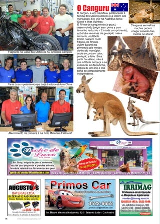 46 www.reportercapixaba.com
O canguru é um mamífero, pertencente à
família dos Macropopídeos e à ordem dos
marsupiais. Ele vive na Austrália, Nova
Guiné e ilhas vizinhas.
O filhote de canguru nasce pouco
desenvolvido (cego, sem pêlos e com
tamanho reduzido – 2 cm de comprimento),
após três semanas de gestação nasce
somente um filhote.
Como nascem muito
frágeis, os filhotes
vivem durante os
primeiros seis meses
dentro do marsúpio,
onde encontram calor,
proteção e leite. Só a
partir do sétimo mês é
que o filhote começa a se
aventurar em terra firme,
depois de um ano a cria
torna-se completamente
independente.
Cangurus vermelhos
machos podem
chegar a medir dois
metros de altura!
O Canguru
Flagrante na Casa das Motos na Av. Aristides Campos!
Parte da competente equipe da já tradicional Auto Clima.
Atendimento de primeira é na Brito Materiais Elétricos!
Ptt Shop. artigos de pnca. sementes.
raç6es pan pequenos e gn,ndes anlmals.,
fannicla met1n6rla e fetnmetl!alem g~.
PriMos Car
BA'rÉRiAS LTÔA.
BATERIAS E RADIADORES
N,.,._ f ...IHN~'-@ t ,NC.,lff
~-... 3522•t3DI
AOIIÍIAn!I~(lfflpal, t,0
~1'Í~2• ('a(h,,c,i.-9dtlu
~
..
-'
IRRIMAG..,__,,.,,,,..~
••••••A--v•nd•1@ltrm.tg,tom,br
12113521143Ha62Z•IG4'
6>o~o:mc,w.fila
11,lolilll•{li•-lll!tlll'.llll
aa.r,:mimm~-~
 