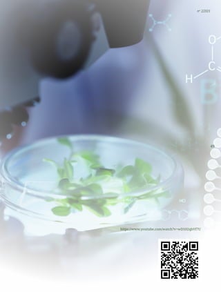 49
nº 2/2021
https://www.youtube.com/watch?v=wD102qbVf7U
 