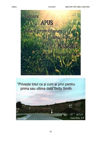 CDIhcc Nr.8/2017 ISSN 2457-7901 ISSN-L 2068-9365
62
 