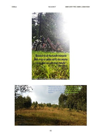 CDIhcc Nr.8/2017 ISSN 2457-7901 ISSN-L 2068-9365
65
 