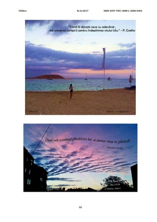 CDIhcc Nr.8/2017 ISSN 2457-7901 ISSN-L 2068-9365
66
 