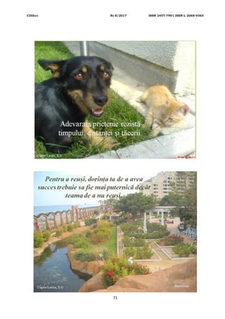 CDIhcc Nr.8/2017 ISSN 2457-7901 ISSN-L 2068-9365
71
 