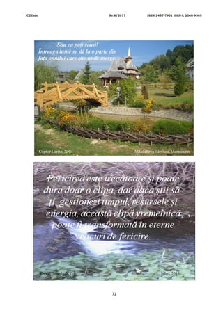 CDIhcc Nr.8/2017 ISSN 2457-7901 ISSN-L 2068-9365
72
 