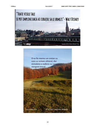 CDIhcc Nr.8/2017 ISSN 2457-7901 ISSN-L 2068-9365
77
 