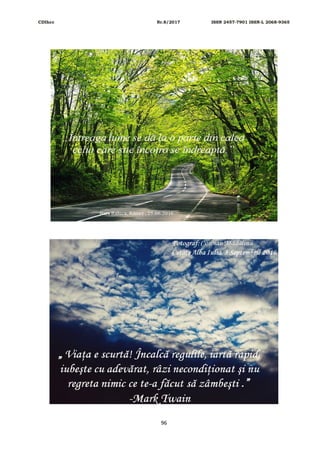 CDIhcc Nr.8/2017 ISSN 2457-7901 ISSN-L 2068-9365
96
 