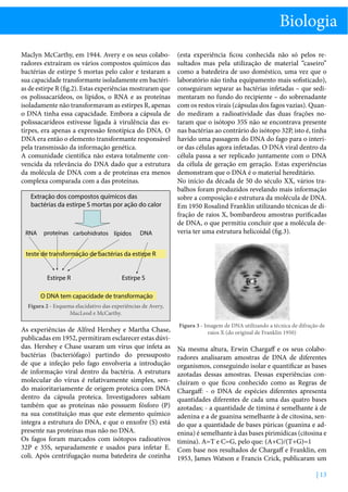 Biologia
Maclyn McCarthy, em 1944. Avery e os seus colaboradores extraíram os vários compostos químicos das
bactérias de estirpe S mortas pelo calor e testaram a
sua capacidade transformante isoladamente em bactérias de estirpe R (fig.2). Estas experiências mostraram que
os polissacarídeos, os lípidos, o RNA e as proteínas
isoladamente não transformavam as estirpes R, apenas
o DNA tinha essa capacidade. Embora a cápsula de
polissacarídeos estivesse ligada à virulência das estirpes, era apenas a expressão fenotípica do DNA. O
DNA era então o elemento transformante responsável
pela transmissão da informação genética.
A comunidade científica não estava totalmente convencida da relevância do DNA dado que a estrutura
da molécula de DNA com a de proteínas era menos
complexa comparada com a das proteínas.
Extração dos compostos químicos das
bactérias da estirpe S mortas por ação do calor

RNA

proteínas carbohidratos lípidos

DNA

(esta experiência ficou conhecida não só pelos resultados mas pela utilização de material “caseiro”
como a batedeira de uso doméstico, uma vez que o
laboratório não tinha equipamento mais sofisticado),
conseguiram separar as bactérias infetadas – que sedimentaram no fundo do recipiente – do sobrenadante
com os restos virais (cápsulas dos fagos vazias). Quando mediram a radioatividade das duas frações notaram que o isótopo 35S não se encontrava presente
nas bactérias ao contrário do isótopo 32P, isto é, tinha
havido uma passagem do DNA do fago para o interior das células agora infetadas. O DNA viral dentro da
célula passa a ser replicado juntamente com o DNA
da célula de geração em geração. Estas experiências
demonstram que o DNA é o material hereditário.
No início da década de 50 do século XX, vários trabalhos foram produzidos revelando mais informação
sobre a composição e estrutura da molécula de DNA.
Em 1950 Rosalind Franklin utilizando técnicas de difração de raios X, bombardeou amostras purificadas
de DNA, o que permitiu concluir que a molécula deveria ter uma estrutura helicoidal (fig.3).

teste de transformação de bactérias da estirpe R
Estirpe R

Estirpe S

O DNA tem capacidade de transformação
Figura 2 - Esquema elucidativo das experiências de Avery,
MacLeod e McCarthy.

As experiências de Alfred Hershey e Martha Chase,
publicadas em 1952, permitiram esclarecer estas dúvidas. Hershey e Chase usaram um vírus que infeta as
bactérias (bacteriófago) partindo do pressuposto
de que a infeção pelo fago envolveria a introdução
de informação viral dentro da bactéria. A estrutura
molecular do vírus é relativamente simples, sendo maioritariamente de origem proteica com DNA
dentro da cápsula proteica. Investigadores sabiam
também que as proteínas não possuem fósforo (P)
na sua constituição mas que este elemento químico
integra a estrutura do DNA, e que o enxofre (S) está
presente nas proteínas mas não no DNA.
Os fagos foram marcados com isótopos radioativos
32P e 35S, separadamente e usados para infetar E.
coli. Após centrifugação numa batedeira de cozinha

Figura 3 - Imagem de DNA utilizando a técnica de difração de
raios X (do original de Franklin 1950)

Na mesma altura, Erwin Chargaff e os seus colaboradores analisaram amostras de DNA de diferentes
organismos, conseguindo isolar e quantificar as bases
azotadas dessas amostras. Dessas experiências concluíram o que ficou conhecido como as Regras de
Chargaff: - o DNA de espécies diferentes apresenta
quantidades diferentes de cada uma das quatro bases
azotadas; - a quantidade de timina é semelhante à de
adenina e a de guanina semelhante à de citosina, sendo que a quantidade de bases púricas (guanina e adenina) é semelhante à das bases pirimídicas (citosina e
timina). A=T e C=G, pelo que: (A+C)/(T+G)=1
Com base nos resultados de Chargaff e Franklin, em
1953, James Watson e Francis Crick, publicaram um
| 13

 