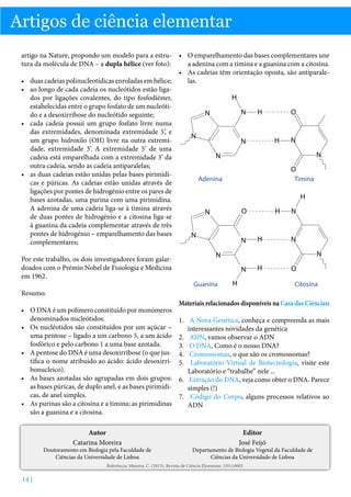 Artigos de ciência elementar
artigo na Nature, propondo um modelo para a estru- •	 O emparelhamento das bases complementares une
tura da molécula de DNA – a dupla hélice (ver foto):
a adenina com a timina e a guanina com a citosina.
•	 As cadeias têm orientação oposta, são antiparale•	 duas cadeias polinucleotídicas enroladas em hélice;
las.
•	 ao longo de cada cadeia os nucleótidos estão ligaH
dos por ligações covalentes, do tipo fosfodiéster,
estabelecidas entre o grupo fosfato de um nucleótiO
H
N
N
do e a desoxirribose do nucleótido seguinte;
•	 cada cadeia possui um grupo fosfato livre numa
das extremidades, denominada extremidade 5’, e
N
um grupo hidroxilo (OH) livre na outra extremiN
H
N
dade, extremidade 3’. A extremidade 5’ de uma
N
N
cadeia está emparelhada com a extremidade 3’ da
outra cadeia, sendo as cadeia antiparalelas;
O
•	 as duas cadeias estão unidas pelas bases pirimídiAdenina
Timina
cas e púricas. As cadeias estão unidas através de
ligações por pontes de hidrogénio entre os pares de
H
bases azotadas, uma purina com uma pirimidina.
A adenina de uma cadeia liga-se à timina através
H
N
O
N
de duas pontes de hidrogénio e a citosina liga-se
à guanina da cadeia complementar através de três
pontes de hidrogénio – emparelhamento das bases
N
H
N
N
complementares;
Por este trabalho, os dois investigadores foram galardoados com o Prémio Nobel de Fisiologia e Medicina
em 1962.

N

N
N
Guanina

H

H

O
Citosina

Resumo:
Materiais relacionados disponíveis na Casa das Ciências:

•	 O DNA é um polímero constituído por monómeros
denominados nucleótidos.
•	 Os nucléotidos são constituídos por um açúcar –
uma pentose – ligado a um carbono 5, a um ácido
fosfórico e pelo carbono 1 a uma base azotada.
•	 A pentose do DNA é uma desoxirribose (o que justifica o nome atribuído ao ácido: ácido desoxirribonucleico).
•	 As bases azotadas são agrupadas em dois grupos:
as bases púricas, de duplo anel, e as bases pirimídicas, de anel simples.
•	 As purinas são a citosina e a timina; as pirimidinas
são a guanina e a citosina.

1.	 A Nova Genética, conheça e compreenda as mais
interessantes novidades da genética
2.	 ADN, vamos observar o ADN
3.	 O DNA, Como é o nosso DNA?
4.	 Cromossomas, o que são os cromossomas?
5.	 Laboratório Virtual de Biotecnologia, visite este
Laboratório e “trabalhe” nele ...
6.	 Extração do DNA, veja como obter o DNA. Parece
simples (!)
7.	 Código do Corpo, alguns processos relativos ao
ADN

Autor
Catarina Moreira

Editor
José Feijó

Doutoramento em Biologia pela Faculdade de
Ciências da Universidade de Lisboa

Departamento de Biologia Vegetal da Faculdade de
Ciências da Universidade de Lisboa

Referência: Moreira, C. (2013), Revista de Ciência Elementar, 1(01):0002

14 |

 