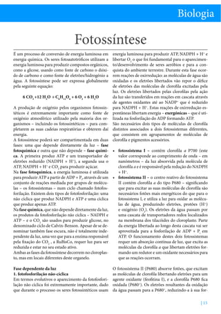 Biologia

Fotossíntese
É um processo de conversão de energia luminosa em
energia química. Os seres fotoautotróficos utilizam a
energia luminosa para produzir compostos orgânicos,
como a glicose, usando como fonte de carbono o dióxido de carbono e como fonte de eletrões/hidrogénio a
água. A fotossíntese pode ser expressa globalmente
pela seguinte equação:
6 CO2 +12 H2O → C6H12O6 + 6 O2 + 6 H2O

energia luminosa para produzir ATP, NADPH + H+ e
libertar O2 o que foi fundamental para o aparecimento/desenvolvimento de seres aeróbios e para a conquista do ambiente terrestre. Durante esta fase ocorrem reações de oxirredução: as moléculas de água são
oxidadas e os eletrões libertados vão repor o défice
de eletrões das moléculas de clorofila excitadas pela
luz. Os eletrões libertados pelas clorofilas pela ação
da luz são transferidos em reações em cascata através
de agentes oxidantes até ao NADP+ que é reduzido
para NADPH + H+. Estas reações de oxirredução espontâneas libertam energia – exergónicas – que é utilizada na fosforilação do ADP formando ATP.
São necessários dois tipos de moléculas de clorofila
distintos associados a dois fotossistemas diferentes,
que consistem em agrupamentos de moléculas de
clorofila e pigmentos acessórios.

A produção de oxigénio pelos organismos fotossintéticos é extremamente importante como fonte de
oxigénio atmosférico utilizado pela maioria dos organismos – incluindo os fotossintéticos – para completarem as suas cadeias respiratórias e obterem daí
energia.
A fotossíntese poderá ser compartimentada em duas
fases: uma que depende diretamente da luz – fase
fotoquímica e outra que não depende – fase quími- •	 fotossistema I – contém clorofila a P700 (este
ca. A primeira produz ATP e um transportador de
valor corresponde ao comprimento de onda – em
+
eletrões reduzido (NADPH + H ), a segunda usa o
nanómetros – da luz absorvida pela molécula de
ATP, NADPH + H+ e CO2 para produzir açúcar.
clorofila a e é responsável pela redução do NADPH
Na fase fotoquímica, a energia luminosa é utilizada
+ H+.
para produzir ATP a partir de ADP + Pi, através de um •	 fotossistema II – o centro reativo do fotossistema
conjunto de reações mediada por grupos de molécuII contém clorofila a do tipo P680 – significando
las – os fotossistemas – num ciclo chamado fotofosque para excitar as suas moléculas de clorofila são
forilação. Existem dois tipos de fotofosforilação: uma
necessários fotões mais energéticos do que para o
não cíclica que produz NADPH e ATP e uma cíclica
fotossistema I, e utiliza a luz para oxidar as molécuque produz apenas ATP.
las de água, produzindo eletrões, protões (H+)
Na fase química, que não depende diretamente da luz,
e oxigénio (O2). Os eletrões da água passam por
os produtos da fotofosforilação não cíclica – NADPH e
uma cascata de transportadores redox localizados
na membrana dos tilacóides do cloroplasto. Parte
ATP – e o CO2 são usados para produzir glicose, no
denominado ciclo de Calvin-Benson. Apesar de se deda energia libertada ao longo desta cascata vai ser
nominar também fase escura, não é totalmente indeaproveitada para a fosforilação de ADP + Pi em
pendente da luz, uma vez que para a enzima responsável
ATP. O funcionamento destes dois fotossistemas
pela fixação do CO2 , a RuBisCo, requer luz para ser
requer um absorção contínua de luz, que excita as
moléculas da clorofila a que libertam eletrões forreduzida e estar no seu estado ativo.
Ambas as fases da fotossíntese decorrem no cloroplasmando um redutor e um oxidante necessários para
to, mas em locais diferentes deste organelo.
que as reações ocorram.
Fase dependente da luz
1. fotofosforilação não-cíclica
Em termos evolutivos o aparecimento da fotofosforilação não cíclica foi extremamente importante, dado
que durante o processo os seres fotossintéticos usam

O fotossistema II (P680) absorve fotões, que excitam
as moléculas de clorofila libertando eletrões para um
agente oxidante (feofitina I), e a clorofila P680 fica
oxidada (P680+). Os eletrões resultantes da oxidação
da água passam para a P680+, reduzindo-a à sua for| 15

 