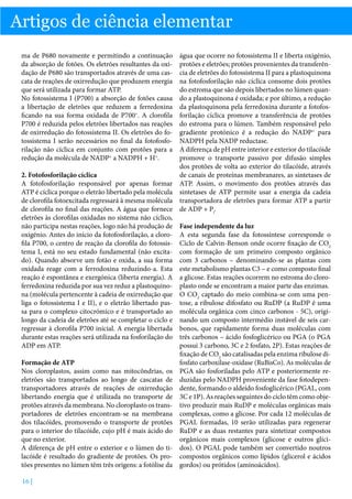 Artigos de ciência elementar
ma de P680 novamente e permitindo a continuação
da absorção de fotões. Os eletrões resultantes da oxidação de P680 são transportados através de uma cascata de reações de oxirredução que produzem energia
que será utilizada para formar ATP.
No fotossistema I (P700) a absorção de fotões causa
a libertação de eletrões que reduzem a ferredoxina
ficando na sua forma oxidada de P700+. A clorofila
P700 é reduzida pelos eletrões libertados nas reações
de oxirredução do fotossistema II. Os eletrões do fotossistema I serão necessários no final da fotofosforilação não cíclica em conjunto com protões para a
redução da molécula de NADP+ a NADPH + H+.
2. Fotofosforilação cíclica
A fotofosforilação responsável por apenas formar
ATP é cíclica porque o eletrão libertado pela molécula
de clorofila fotoexcitada regressará à mesma molécula
de clorofila no final das reações. A água que fornece
eletrões às clorofilas oxidadas no sistema não cíclico,
não participa nestas reações, logo não há produção de
oxigénio. Antes do início da fotofosforilação, a clorofila P700, o centro de reação da clorofila do fotossistema I, está no seu estado fundamental (não excitado). Quando absorve um fotão e oxida, a sua forma
oxidada reage com a ferrodoxina reduzindo-a. Esta
reação é espontânea e exergónica (liberta energia). A
ferredoxina reduzida por sua vez reduz a plastoquinona (molécula pertencente à cadeia de oxirredução que
liga o fotossistema I e II), e o eletrão libertado passa para o complexo citocrómico e é transportado ao
longo da cadeia de eletrões até se completar o ciclo e
regressar à clorofila P700 inicial. A energia libertada
durante estas reações será utilizada na fosforilação do
ADP em ATP.
Formação de ATP
Nos cloroplastos, assim como nas mitocôndrias, os
eletrões são transportados ao longo de cascatas de
transportadores através de reações de oxirredução
libertando energia que é utilizada no transporte de
protões através da membrana. No cloroplasto os transportadores de eletrões encontram-se na membrana
dos tilacóides, promovendo o transporte de protões
para o interior do tilacóide, cujo pH é mais ácido do
que no exterior.
A diferença de pH entre o exterior e o lúmen do tilacóide é resultado do gradiente de protões. Os protões presentes no lúmen têm três origens: a fotólise da
16 |

água que ocorre no fotossistema II e liberta oxigénio,
protões e eletrões; protões provenientes da transferência de eletrões do fotossistema II para a plastoquinona
na fotofosforilação não cíclica consome dois protões
do estroma que são depois libertados no lúmen quando a plastoquinona é oxidada; e por último, a redução
da plastoquinona pela ferredoxina durante a fotofosforilação cíclica promove a transferência de protões
do estroma para o lúmen. Também responsável pelo
gradiente protónico é a redução do NADP+ para
NADPH pela NADP reductase.
A diferença de pH entre interior e exterior do tilacóide
promove o transporte passivo por difusão simples
dos protões de volta ao exterior do tilacóide, através
de canais de proteínas membranares, as sintetases de
ATP. Assim, o movimento dos protões através das
sintetases de ATP permite usar a energia da cadeia
transportadora de eletrões para formar ATP a partir
de ADP + Pi.
Fase independente da luz
A esta segunda fase da fotossíntese corresponde o
Ciclo de Calvin-Benson onde ocorre fixação de CO2
com formação de um primeiro composto orgânico
com 3 carbonos – denominando-se as plantas com
este metabolismo plantas C3 – e como composto final
a glicose. Estas reações ocorrem no estroma do cloroplasto onde se encontram a maior parte das enzimas.
O CO2 captado do meio combina-se com uma pentose, a ribulose difosfato ou RuDP (a RuDP é uma
molécula orgânica com cinco carbonos - 5C), originando um composto intermédio instável de seis carbonos, que rapidamente forma duas moléculas com
três carbonos – ácido fosfoglicérico ou PGA (o PGA
possui 3 carbono, 3C e 2 fosfato, 2P). Estas reações de
fixação de CO2 são catalisadas pela enzima ribulose difosfato carboxilase-oxidase (RuBisCo). As moléculas de
PGA são fosforiladas pelo ATP e posteriormente reduzidas pelo NADPH proveniente da fase fotodependente, formando o aldeído fosfoglicérico (PGAL, com
3C e 1P). As reações seguintes do ciclo têm como objetivo produzir mais RuDP e moléculas orgânicas mais
complexas, como a glicose. Por cada 12 moléculas de
PGAL formadas, 10 serão utilizadas para regenerar
RuDP e as duas restantes para sintetizar compostos
orgânicos mais complexos (glicose e outros glícidos). O PGAL pode também ser convertido noutros
compostos orgânicos como lípidos (glicerol e ácidos
gordos) ou prótidos (aminoácidos).

 