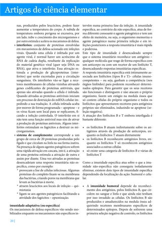 Artigos de ciência elementar
nas, produzidos pelos leucócitos, podem fazer
aumentar a temperatura do corpo. A subida de
temperatura embora perigosa se excessiva, por
um lado, inibe o crescimento dos microrganismos e
por outro estimula e acelera os mecanismos de defesa.
»» interferões: conjunto de proteínas envolvidas
em mecanismos de defesa acionado em infeções
virais. Quando uma célula é infetada por um
agente viral, é normal haver um acréscimo de
RNA de cadeia dupla, resultante da replicação
do material genético viral (quer seja DNA ou
RNA), que ativa o interferão. Essa ativação estimula a produção de glicoproteínas (interferões) que serão excretadas para a circulação
sanguínea. Os interferões vão-se ligar a recetores membranares de células vizinhas ativando
genes codificantes de proteínas antivirais, que
apenas são ativadas quando a célula é infetada.
Quando ativadas as proteínas antivirais iniciam
um processo de destruição do mRNA celular impedindo a sua tradução. A célula infetada acaba
por morrer de forma programada – apoptose – e
os vírus ficam sem local para se replicarem, ficando a infeção controlada. O interferão em si
não tem uma função antiviral mas sim de ativar
a produção de proteínas antivirais. Alguns interferões estimulam os fagócitos a destruir os microrganismos.
»» sistema de complemento: corresponde a um
grupo de cerca de 20 proteínas produzidas pelo
fígado e que circulam na linfa na sua forma inativa.
Na presença de alguns agentes patogénicos sofrem
uma rápida ativação em cascata, isto é, a ativação
de uma proteína estimula a ativação de outra e
assim por diante. Uma vez ativadas as proteínas
desencadeiam uma resposta imunitária não específica, como por exemplo:
*	 provocam a lise de células infeciosas. Algumas
proteínas do completo fixam-se na membrana
das bactérias, criando poros na membrana que
levam as bactérias à morte.
*	 atraem leucócitos aos locais de infeção – quimiotaxia
*	 ligam-se aos agentes patogénicos facilitando a
atividade dos fagócitos – opsonização.
imunidade adaptativa (ou específica)
Os mecanismos de defesa específicos vão sendo mobilizados enquanto os mecanismos não específicos in20 |

tervêm numa primeira fase da infeção. A imunidade
específica, ao contrário da não específica, atua de forma diferente consoante o agente patogénico e tem um
efeito de memória, ou seja, o organismo memoriza o
agente patogénico numa primeira infeção e em infeções posteriores a resposta imunitária é mais rápida
e poderosa.
Este tipo de imunidade é desencadeado sempre
que o sistema imunitário reconhece um antigénio –
qualquer molécula que reage de forma específica com
um anticorpo ou com um recetor de um linfócito T,
desencadeando respostas imunitárias específicas.
A resposta imunitária específica está intimamente associada aos linfócitos (tipos B e T)– células imunocompetentes – ou seja, ganham a competência (nos
órgãos linfóides) para poderem reconhecer determinados epítopos. Para garantir que os seus recetores
são funcionais e distinguem e não atacam o próprio
organismo, fazem um estágio na medula óssea que
só contem células do próprio organismo e todos os
linfócitos que apresentarem recetores para antigénios
próprios são eliminados, induzindo-se apoptose (seleção negativa).
A atuação dos linfócitos B e T embora interligada é
bastante diferente:
•	 os linfócitos B atuam indiretamente sobre os antigénios através da produção de anticorpos, enquanto os linfócitos T atuam diretamente
•	 os linfócitos B reconhecem antigénios livres, enquanto os linfócitos T só reconhecem antigénios
associados a outras células
•	 só existe uma categoria de linfócitos B e várias de
linfócitos T
Como a imunidade específica atua sobre o que a imunidade não-específica não conseguiu isoladamente
eliminar, existem dois tipos de imunidade específica
dependendo da localização da ação: humoral e celular.
•	 A imunidade humoral depende do reconhecimento dos antigénios, pelos linfócitos B, que circulem no sangue e linfa e que ainda não tenham
por isso invadido as células. Os linfócitos B são
produzidos e amadurecidos na medula óssea adquirindo recetores membranares específicos de
determinados epítopos. Depois de sofrerem uma
primeira seleção negativa de controlo, os linfócitos

 