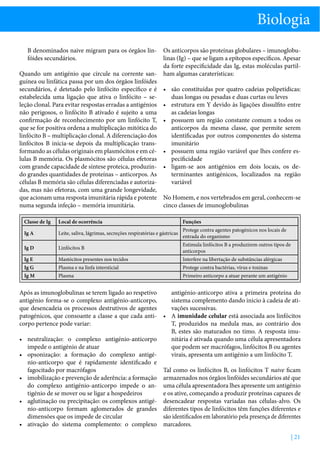 Biologia
B denominados naive migram para os órgãos lin- Os anticorpos são proteínas globulares – imunoglobufóides secundários.
linas (Ig) – que se ligam a epítopos específicos. Apesar
da forte especificidade das Ig, estas moléculas partilQuando um antigénio que circule na corrente san- ham algumas caraterísticas:
guínea ou linfática passa por um dos órgãos linfóides
secundários, é detetado pelo linfócito específico e é •	 são constituídas por quatro cadeias polipetídicas:
estabelecida uma ligação que ativa o linfócito – seduas longas ou pesadas e duas curtas ou leves
leção clonal. Para evitar respostas erradas a antigénios •	 estrutura em Y devido às ligações dissulfito entre
não perigosos, o linfócito B ativado é sujeito a uma
as cadeias longas
confirmação de reconhecimento por um linfócito T, •	 possuem um região constante comum a todos os
que se for positiva ordena a multiplicação mitótica do
anticorpos da mesma classe, que permite serem
linfócito B – multiplicação clonal. A diferenciação dos
identificadas por outros componentes do sistema
linfócitos B inicia-se depois da multiplicação transimunitário
formando as células originais em plasmócitos e em cé- •	 possuem uma região variável que lhes confere eslulas B memória. Os plasmócitos são células efetoras
pecificidade
com grande capacidade de síntese proteica, produzin- •	 ligam-se aos antigénios em dois locais, os dedo grandes quantidades de proteínas – anticorpos. As
terminantes antigénicos, localizados na região
células B memória são células diferenciadas e autorizavariável
das, mas não efetoras, com uma grande longevidade,
que acionam uma resposta imunitária rápida e potente No Homem, e nos vertebrados em geral, conhecem-se
numa segunda infeção – memória imunitária.
cinco classes de imunoglobulinas
Classe de Ig

Local de ocorrência

Funções

Ig A

Leite, saliva, lágrimas, secreções respiratórias e gástricas

Protege contra agentes patogénicos nos locais de
entrada do organismo

Ig D

Linfócitos B

Estimula linfócitos B a produzirem outros tipos de
anticorpos

Ig E

Mastócitos presentes nos tecidos

Interfere na libertação de substâncias alérgicas

Ig G

Plasma e na linfa intersticial

Protege contra bactérias, vírus e toxinas

Ig M

Plasma

Primeiro anticorpo a atuar perante um antigénio

antigénio-anticorpo ativa a primeira proteína do
Após as imunoglobulinas se terem ligado ao respetivo
antigénio forma-se o complexo antigénio-anticorpo,
sistema complemento dando inicio à cadeia de ativações sucessivas.
que desencadeia os processos destrutivos de agentes
patogénicos, que consoante a classe a que cada anti- •	 A imunidade celular está associada aos linfócitos
T, produzidos na medula mas, ao contrário dos
corpo pertence pode variar:
B, estes são maturados no timo. A resposta imu•	 neutralização: o complexo antigénio-anticorpo
nitária é ativada quando uma célula apresentadora
impede o antigénio de atuar
que podem ser macrófagos, linfócitos B ou agentes
•	 opsonização: a formação do complexo antigévirais, apresenta um antigénio a um linfócito T.
nio-anticorpo que é rapidamente identificado e
fagocitado por macrófagos
Tal como os linfócitos B, os linfócitos T naive ficam
•	 imobilização e prevenção de aderência: a formação armazenados nos órgãos linfóides secundários até que
do complexo antigénio-anticorpo impede o an- uma célula apresentadora lhes apresente um antigénio
tigénio de se mover ou se ligar a hospedeiros
e os ative, começando a produzir proteínas capazes de
•	 aglutinação ou precipitação: os complexos antigé- desencadear respostas variadas nas células-alvo. Os
nio-anticorpo formam aglomerados de grandes diferentes tipos de linfócitos têm funções diferentes e
dimensões que os impede de circular
são identificados em laboratório pela presença de diferentes
•	 ativação do sistema complemento: o complexo marcadores.
| 21

 
